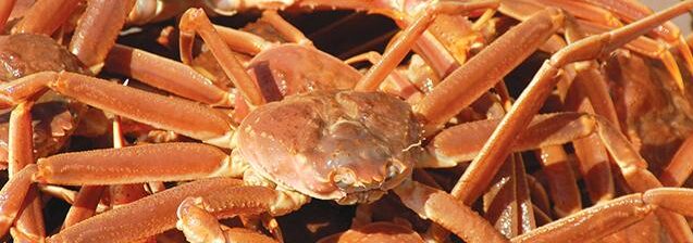 10Product-Crab