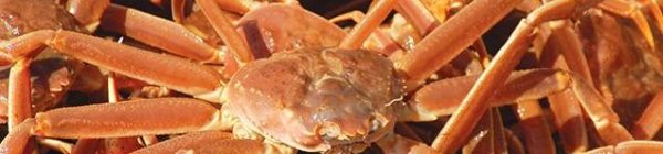 10Product-Crab
